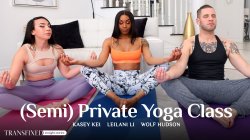 thumb Gallery image 1 for release video (Semi) Private Yoga Class , Scene #01